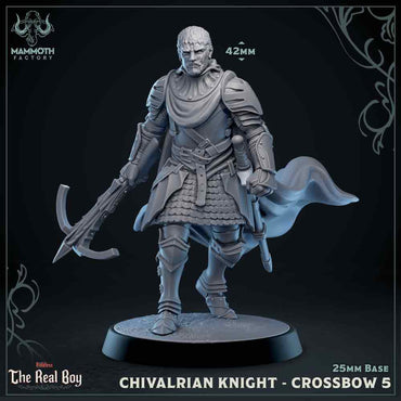 Chivalrian Knight with Crossbow 5 (Paladin) (Online Order Only)
