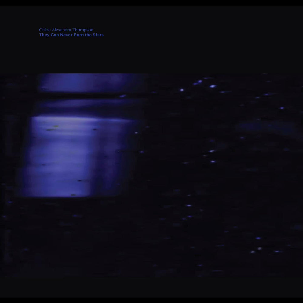 They Will Never Burn The Stars [Vinyl] (ONLINE ORDER ONLY)