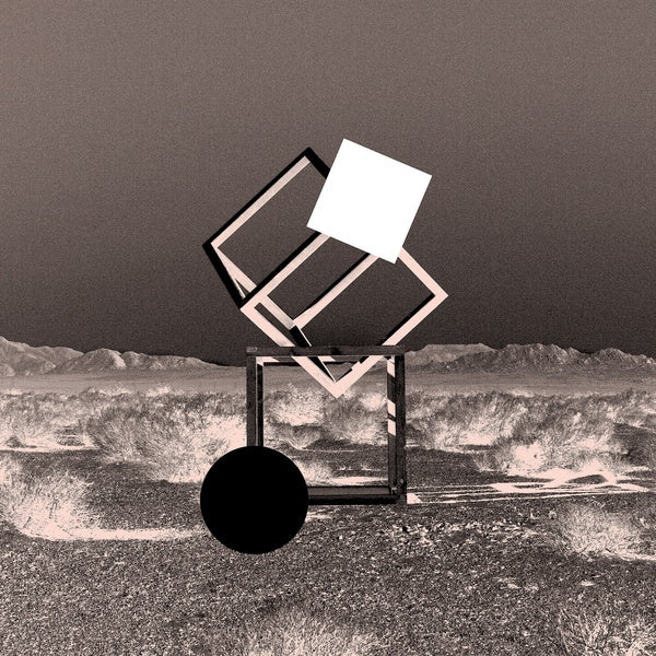 Endless Revisions Live [Vinyl] (ONLINE ORDER ONLY)