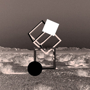 Endless Revisions Live [Vinyl] (ONLINE ORDER ONLY)