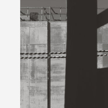 Follower [Vinyl] (ONLINE ORDER ONLY)