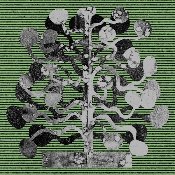 CHURCH ANDREWS & MATT DAVIES - Yucca [Vinyl]