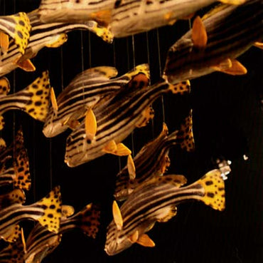 City Center [CD] (ONLINE ORDER ONLY)