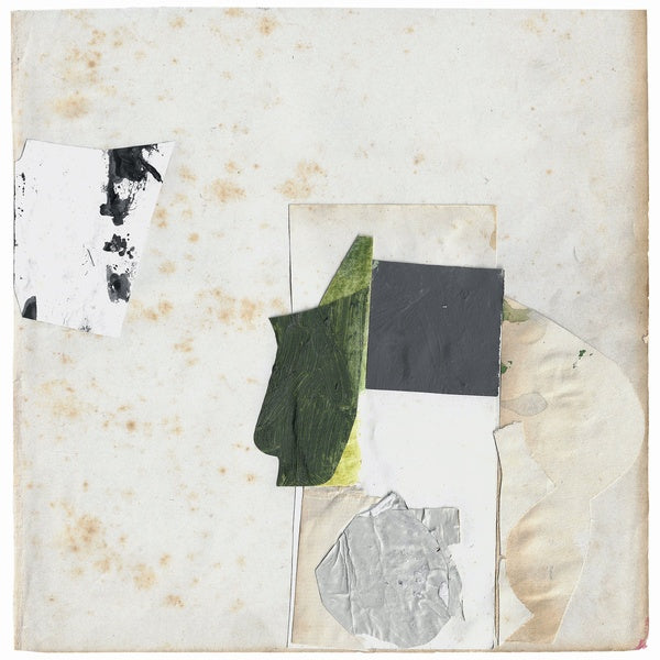 Everything Perfect Is Already Here [Vinyl]