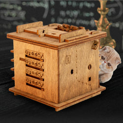 Cluebox: Escape Room In a Box - Schrodinger's cat (ONLINE ORDER ONLY)