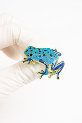Cobalt Poison Dart Frog Enamel Pin (Online Order Only)