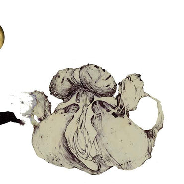 The Ape Of Naples [Vinyl] (ONLINE ORDER ONLY)