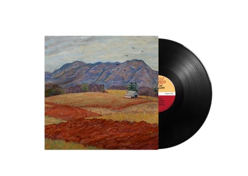 Colby T. Helms - Tales of Misfortune [LP] [Vinyl] (ONLINE ORDER ONLY)