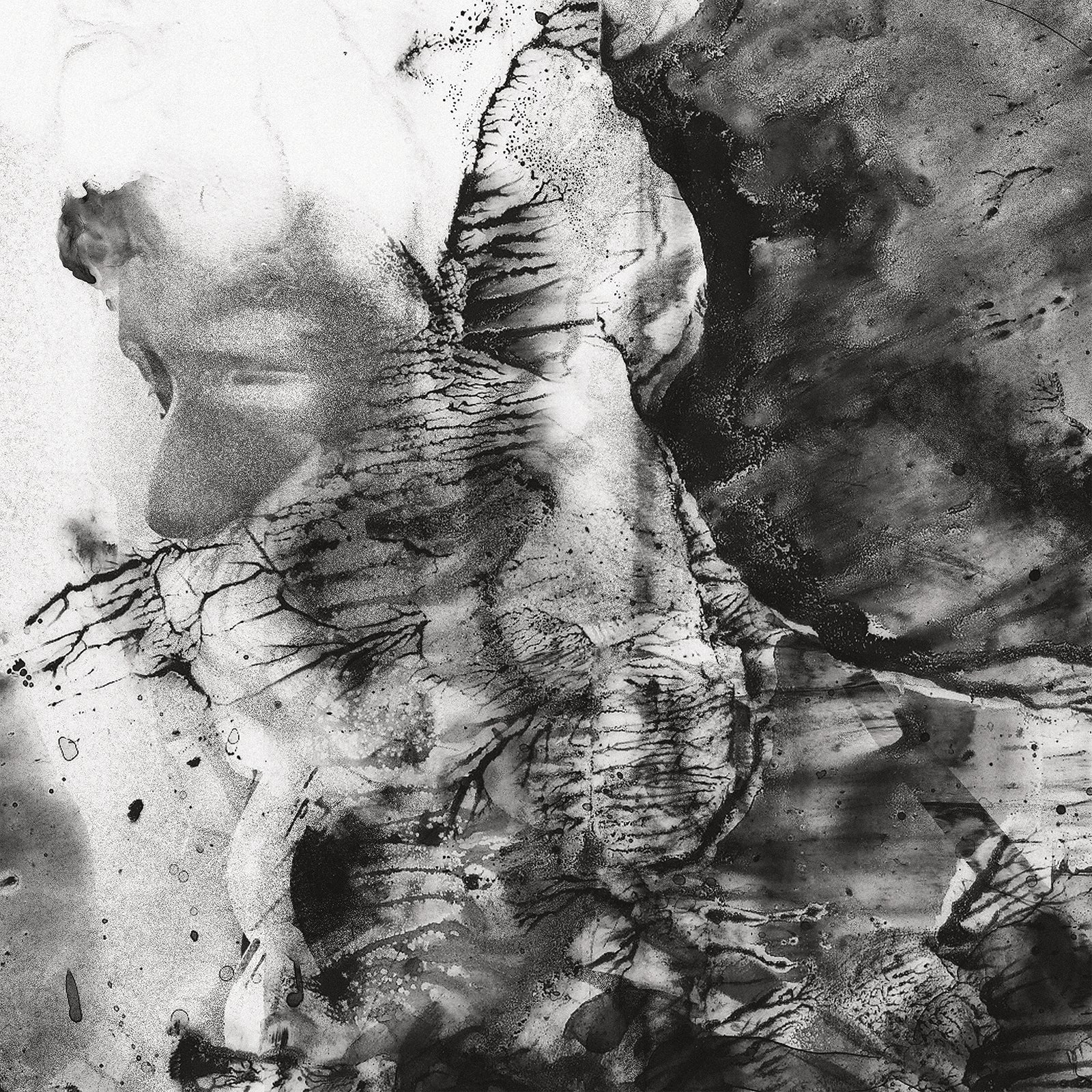 COMBAT! - COMBAT! [Vinyl] (ONLINE ORDER ONLY)