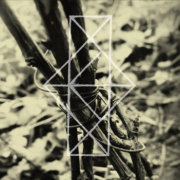 COMMON EIDER, KING EIDER - Shrines For The Unwanted, Respite For The Cast Aside [CD] (ONLINE ORDER ONLY)