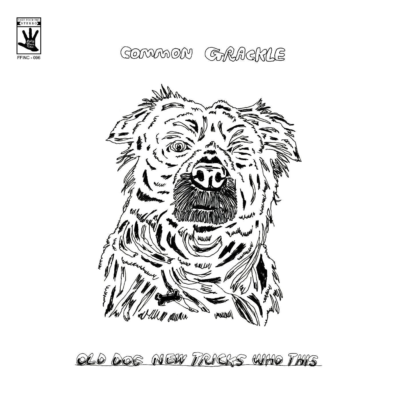 Common Grackle - Old Dog New Tricks Who This [Vinyl] (ONLINE ORDER ONLY)