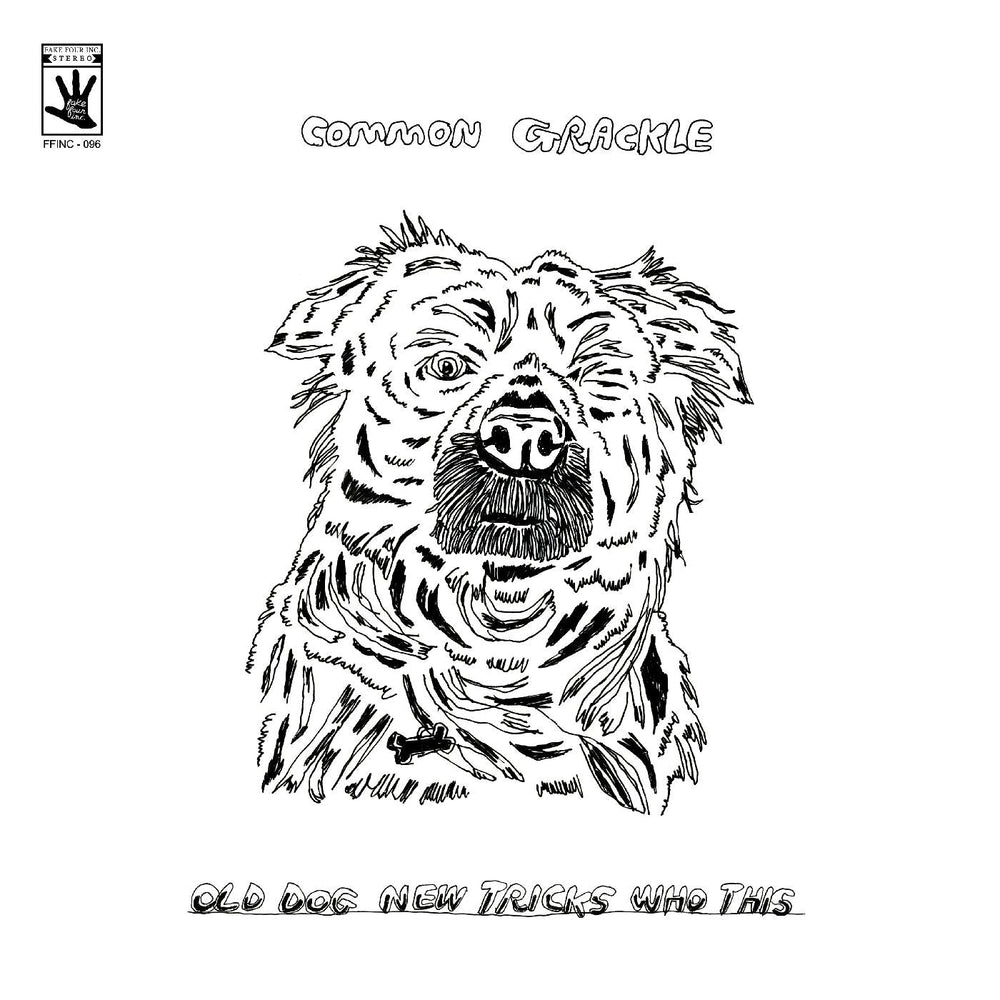 Common Grackle - Old Dog New Tricks Who This [Vinyl] (ONLINE ORDER ONLY)