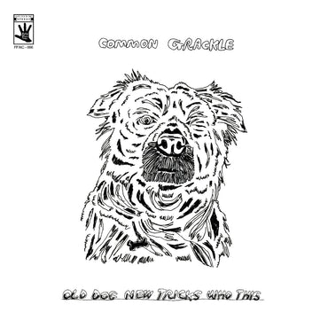Common Grackle - Old Dog New Tricks Who This [Vinyl] (ONLINE ORDER ONLY)