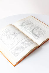 Contributions on the Physical Oceanography of the Gulf of Mexico Vol.2 (ONLINE ORDER ONLY)