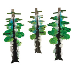 Crystal Growing Redwood Forest | Grow a grove of these giants in hours (ONLINE ORDER ONLY)