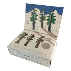 Crystal Growing Redwood Forest | Grow a grove of these giants in hours (ONLINE ORDER ONLY)