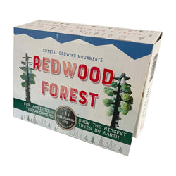 Crystal Growing Redwood Forest | Grow a grove of these giants in hours (ONLINE ORDER ONLY)