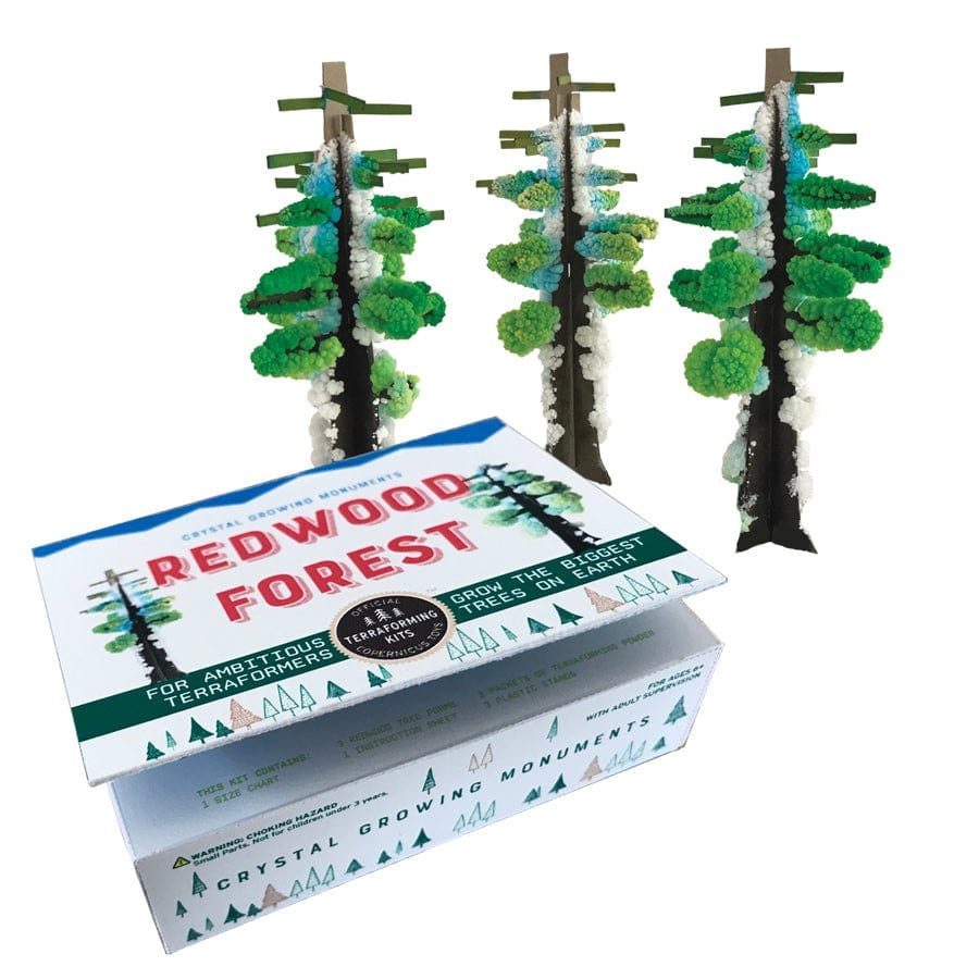 Crystal Growing Redwood Forest | Grow a grove of these giants in hours (ONLINE ORDER ONLY)
