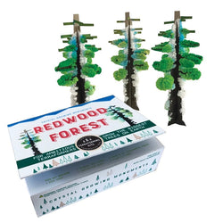 Crystal Growing Redwood Forest | Grow a grove of these giants in hours (ONLINE ORDER ONLY)