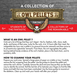 Cabinet of Owl Pellets | Copernicus Toys | Real owl pellets | Facts and instructions included… (ONLINE ORDER ONLY)