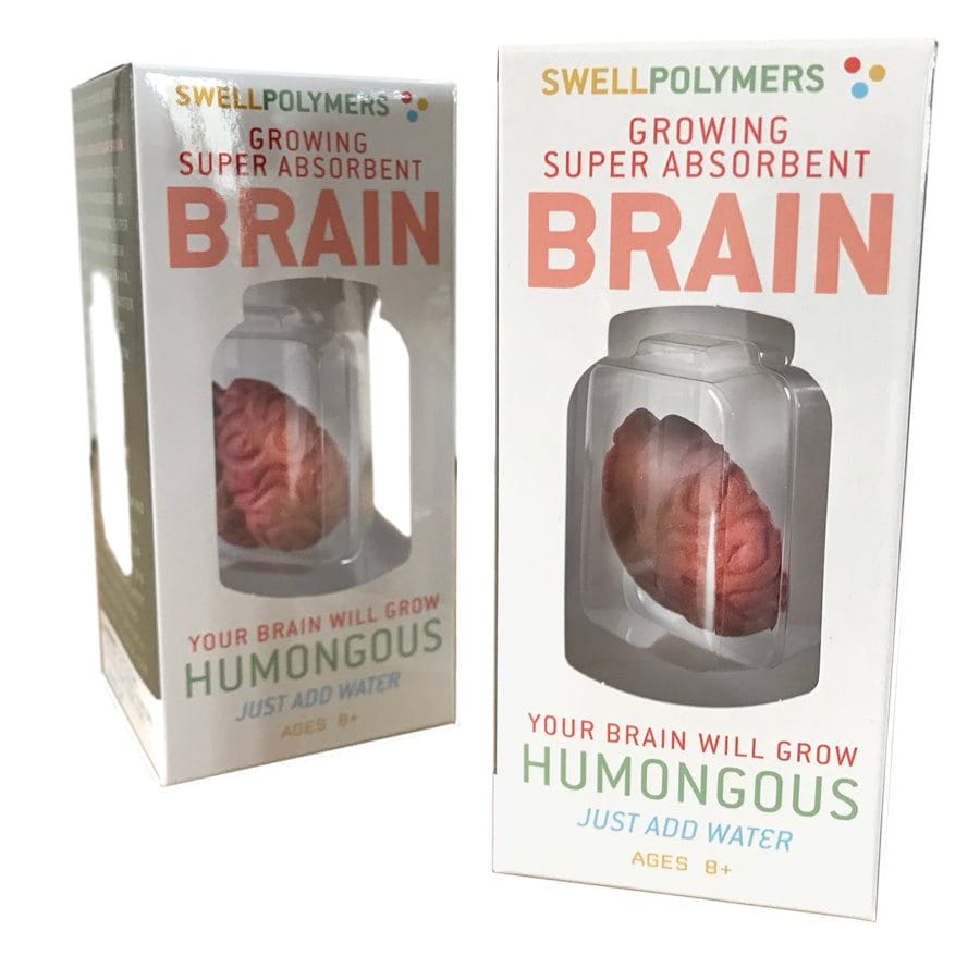 Growing Super Absorbent Brain | Your Brain will Grow Humongous | Just Add to Water (ONLINE ORDER ONLY)