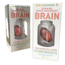 Growing Super Absorbent Brain | Your Brain will Grow Humongous | Just Add to Water (ONLINE ORDER ONLY)