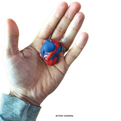 Growing Super Absorbent Heart | Grow a big heart | Just Add to Water (ONLINE ORDER ONLY)