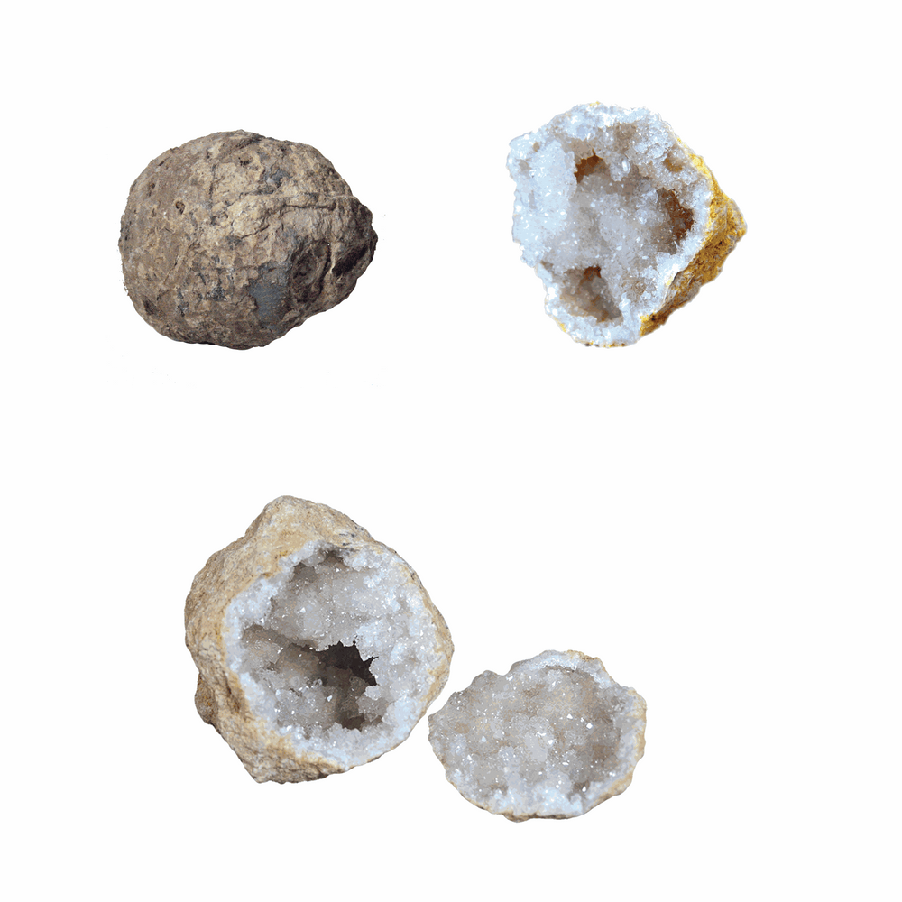 WHOLE GEODE - A rock with a secret (ONLINE ORDER ONLY)