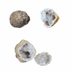 WHOLE GEODE - A rock with a secret (ONLINE ORDER ONLY)
