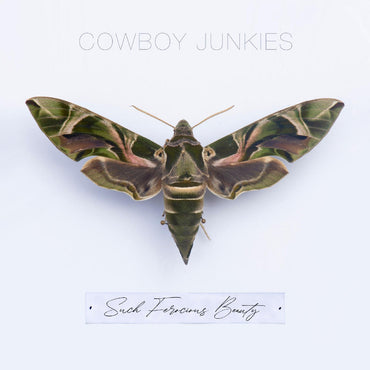 Such Ferocious Beauty (Green Translucent Vinyl) [Vinyl] (ONLINE ORDER ONLY)