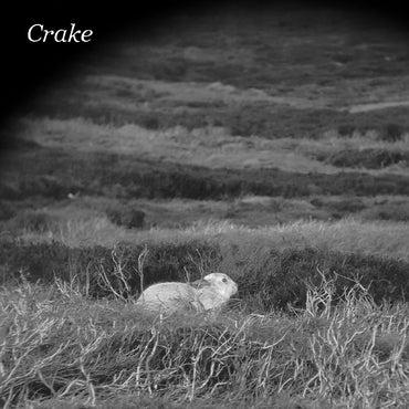 Crake - Enough Salt (For All Dogs) b/w Gef [Vinyl] (ONLINE ORDER ONLY)