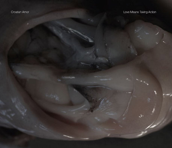 CROATIAN AMOR - Love Means Taking Action [CD] (ONLINE ORDER ONLY)