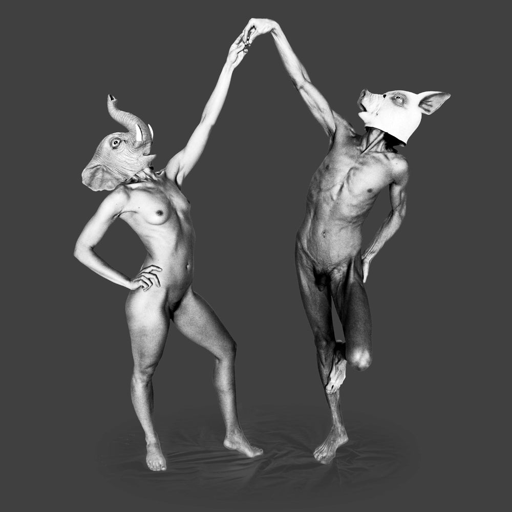 Forfeit/Fortune (Deluxe CD+DVD ) [CD]