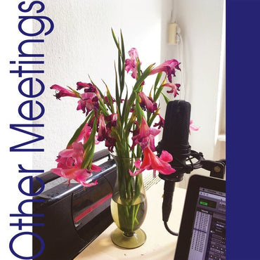 Other Meetings [Vinyl] (ONLINE ORDER ONLY)