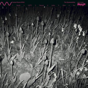 CUCINA POVERA & ELS - The Oystercatcher [Vinyl] (ONLINE ORDER ONLY)