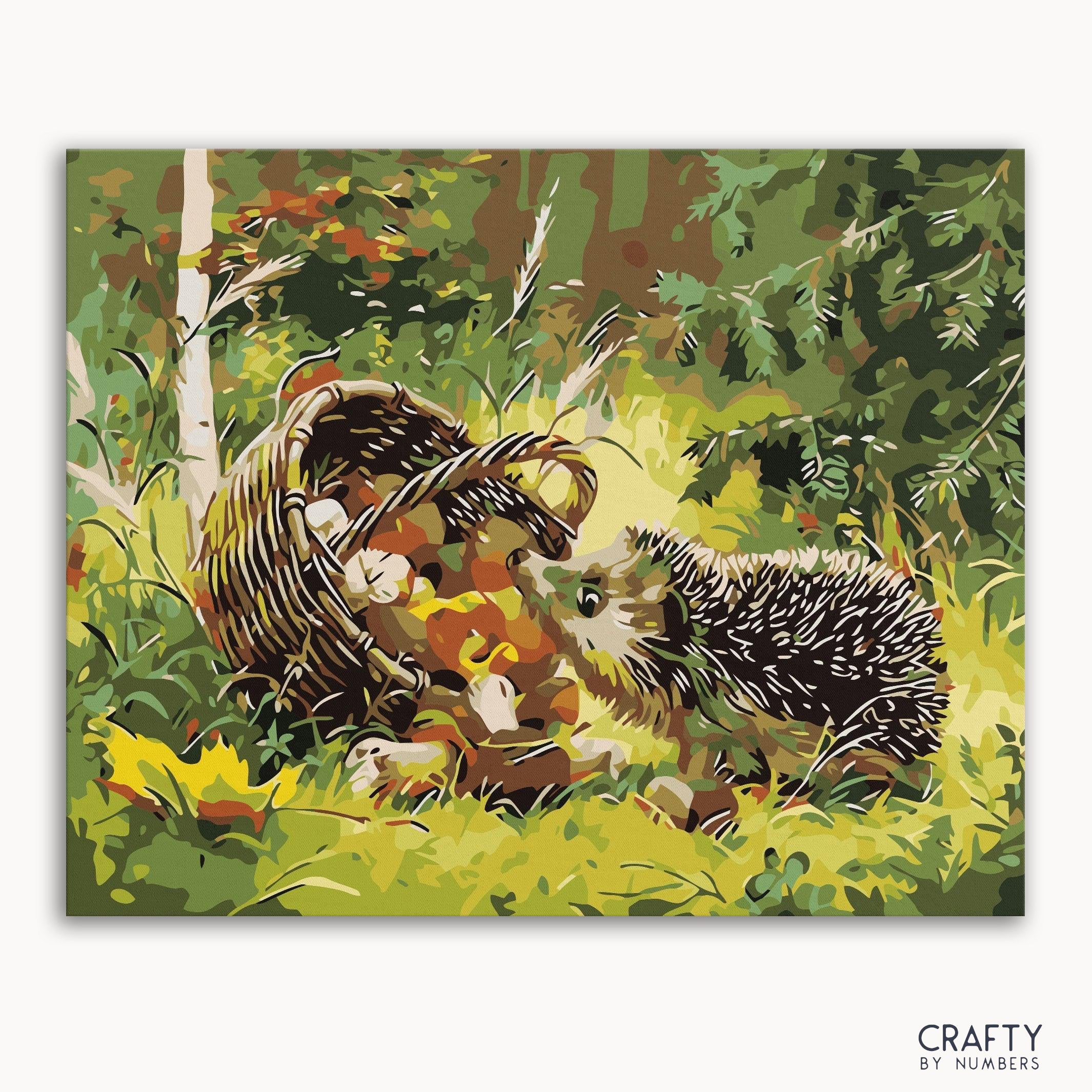 Curious Hedgehog (ONLINE ORDER ONLY)