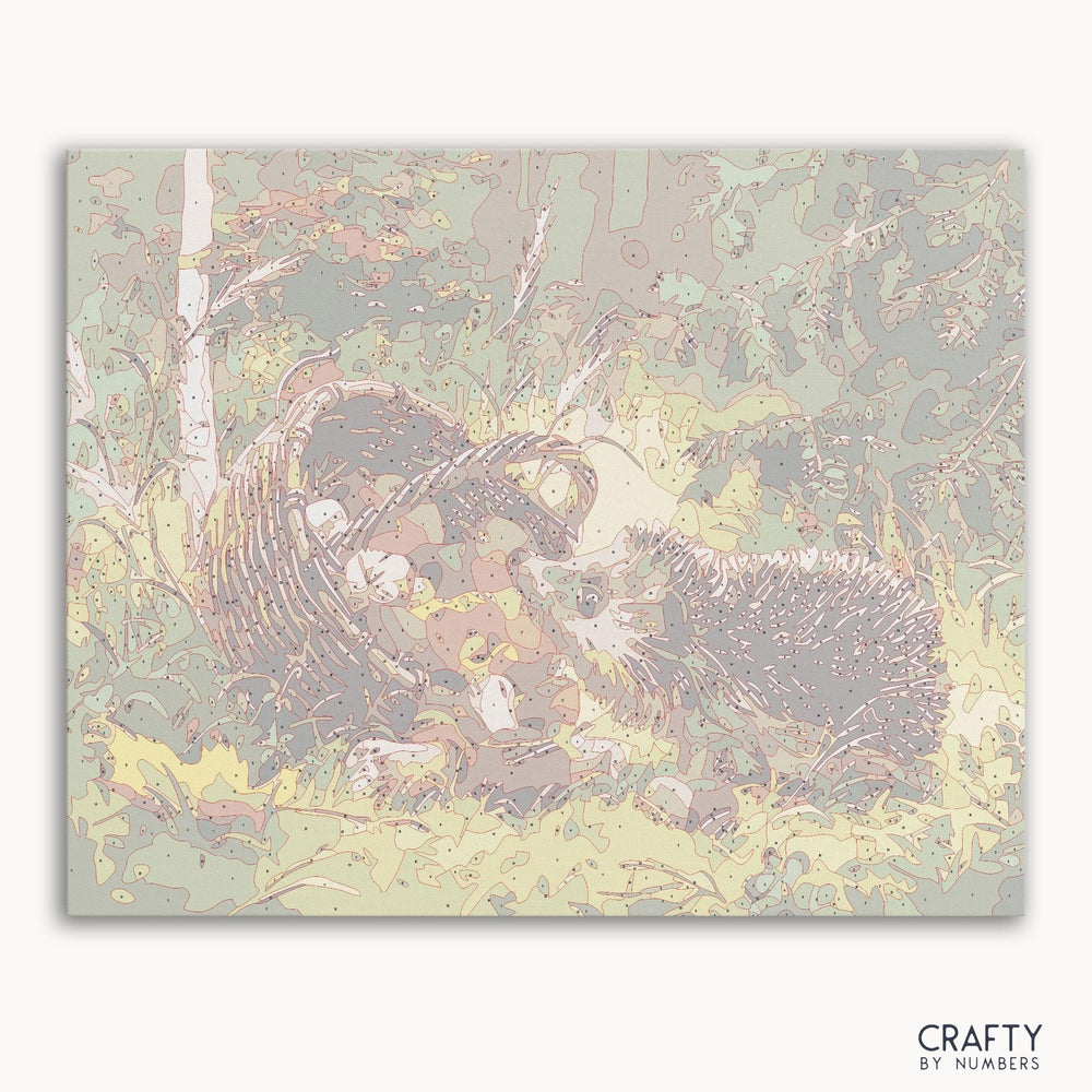 Curious Hedgehog (ONLINE ORDER ONLY)
