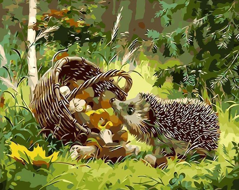 Curious Hedgehog (ONLINE ORDER ONLY)