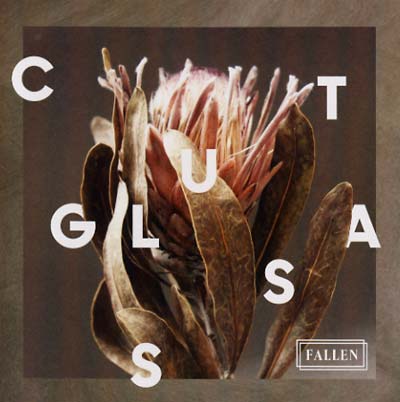 Fallen [CD]