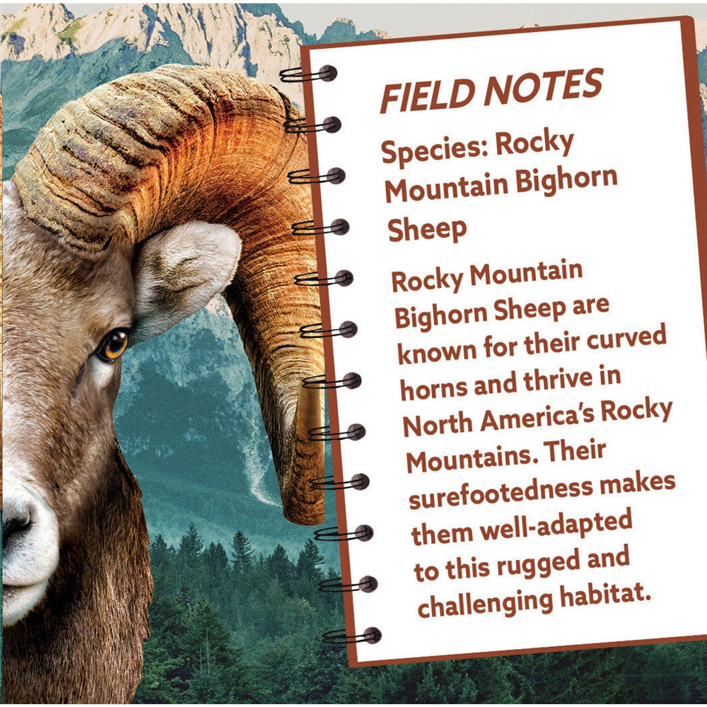 Rocky Mountain Bighorn Sheep 100 Piece Shaped Jigsaw Puzzle (ONLINE ORDER ONLY)