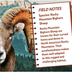 Rocky Mountain Bighorn Sheep 100 Piece Shaped Jigsaw Puzzle (ONLINE ORDER ONLY)