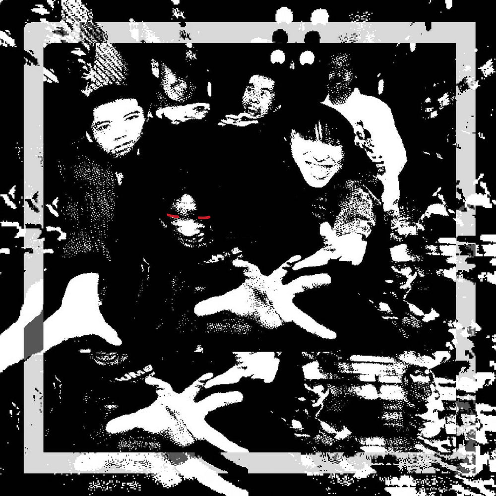 Cycheouts' Counterattack: Best Cuts 1995-2000 [Vinyl]