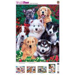 Playful Paws - Fluffy Fuzzballs 300 Piece EZ Grip Jigsaw Puzzle
