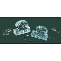 Green Bay Packers Ice Cube Tray (ONLINE ORDER ONLY)