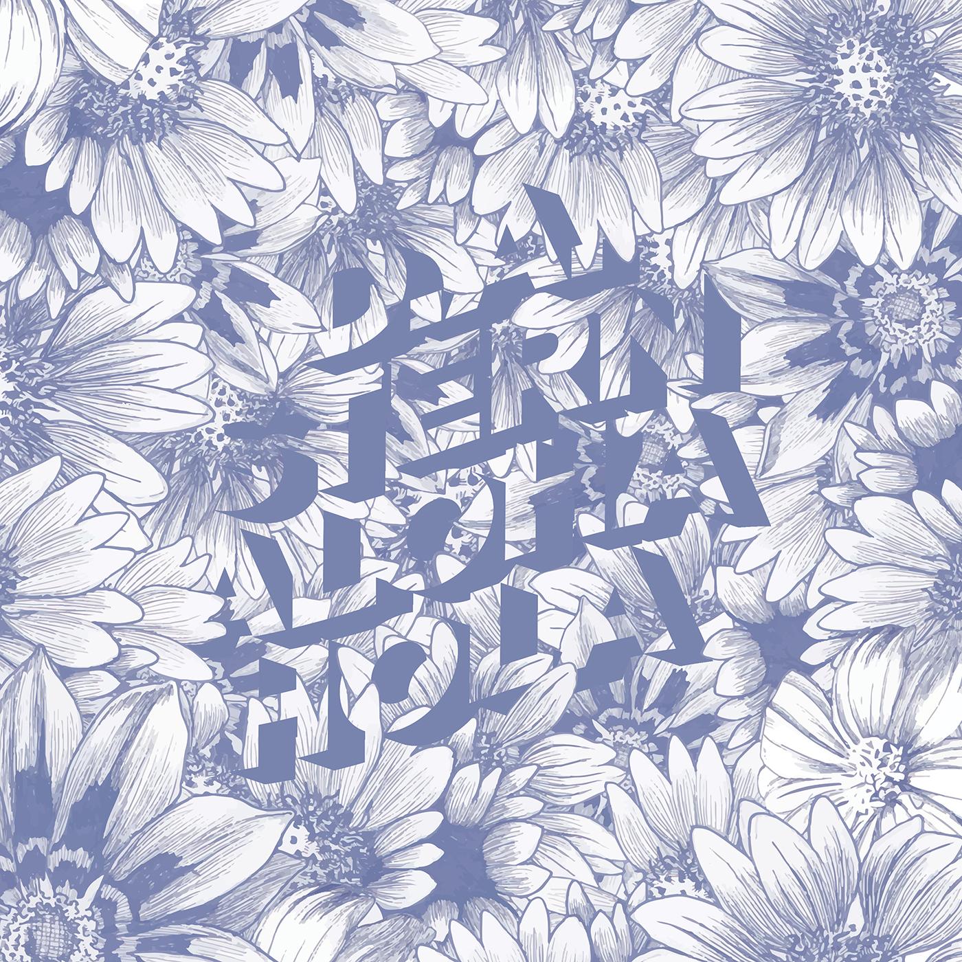 D.A. Stern - Aloha Hola [CD] (ONLINE ORDER ONLY)