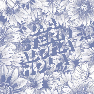 D.A. Stern - Aloha Hola [CD] (ONLINE ORDER ONLY)