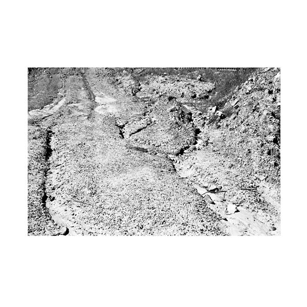 Daniel Bachman - Grey-Black-Green [Vinyl]