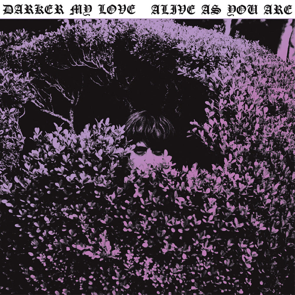 Darker My Love - Alive As You Are [CD]