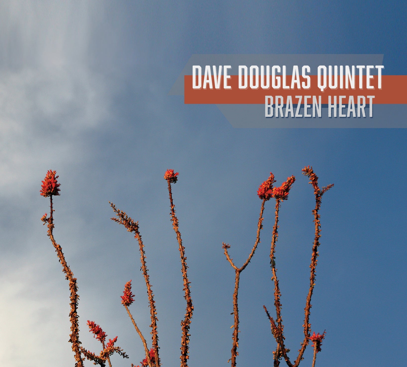 Dave Quintet Douglas - Brazen Heart [CD] (ONLINE ORDER ONLY)