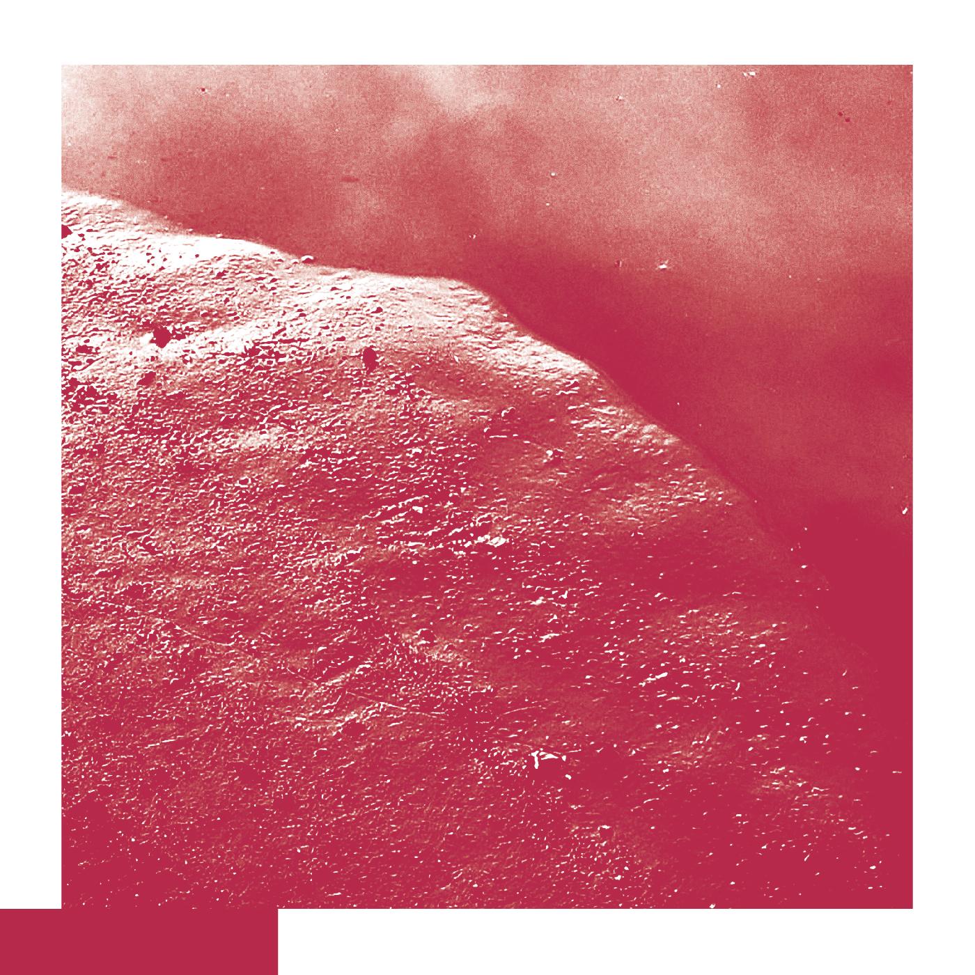 David Allred - The Cell [Vinyl] (ONLINE ORDER ONLY)